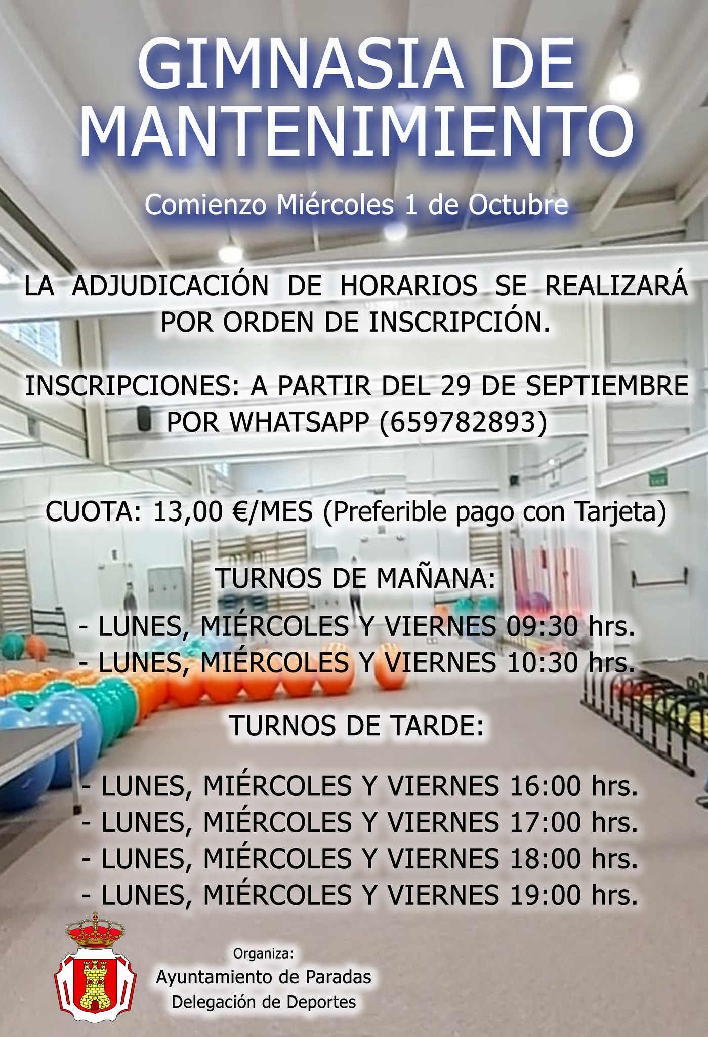 Gimnasia Mantenimiento