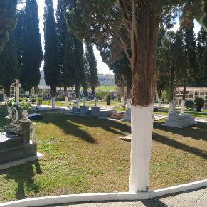 Cementerio Mitad Diagonal Izquierda