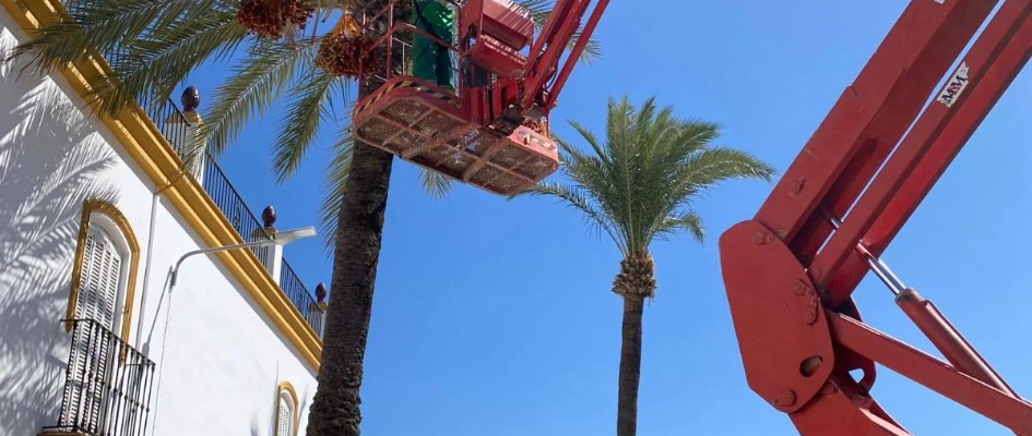 Mantenimiento jardines 2