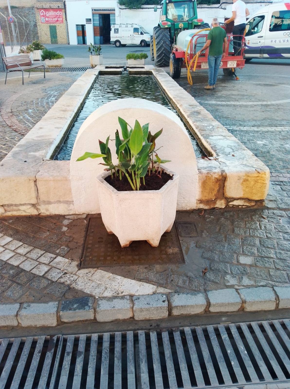 mantenimiento jardines 1